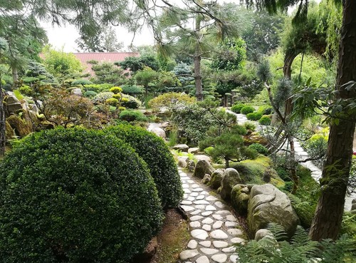ogród w japońskim stylu